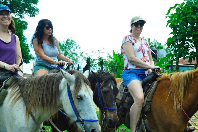 Punta Cana Half-Day Cultural Safari with Lunch and Drinks - Playa Macao: the first hour that resets your mood