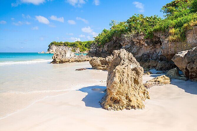 Punta Cana Half-Day Cultural Safari with Lunch and Drinks - Higüey city stops: souvenirs, cigar demo, and a local market walk
