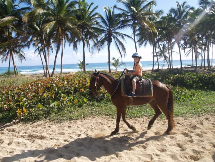 Punta Cana: Horseback Ride to Macao Beach - Key Points at a Glance