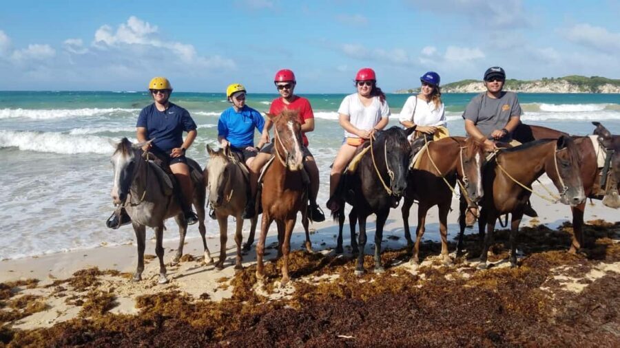 Punta Cana: Horseback Ride to Macao Beach - Horseback Through Punta Cana to Macao Beach: The Big Idea