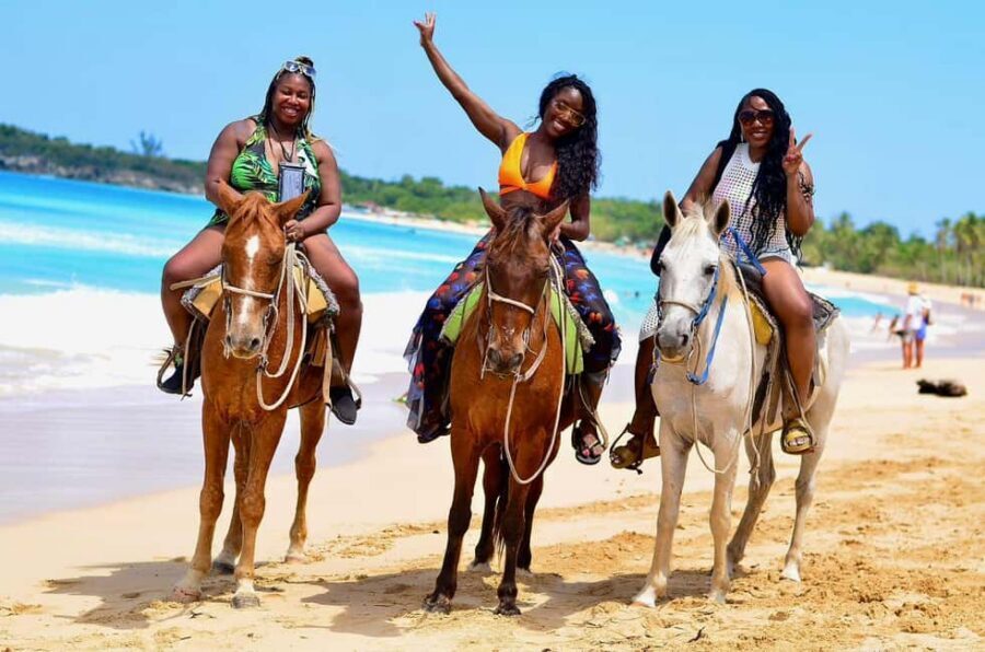 Punta Cana: Horseback riding on the beach with pickup - Punta Cana Horseback Riding With Pickup: What Makes It Worth Your Time