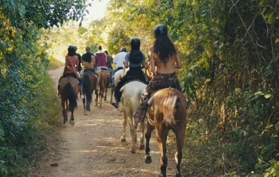 Punta Cana Horseback riding & Sunset + beach + free pick-up - Key Highlights (The Parts That Matter)