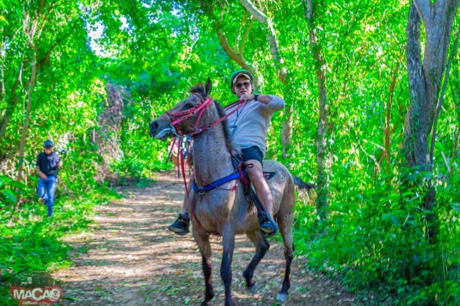 Punta Cana Horseback riding & Sunset + beach + free pick-up - Typical Dominican House Stop: Coffee and Hot Chocolate With Real Local Flavor