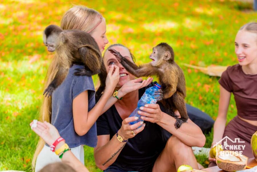 Punta Cana: Interactive Experience at Monkey House - Bottle-Feeding the Baby Monkey Without Turning It Into Chaos