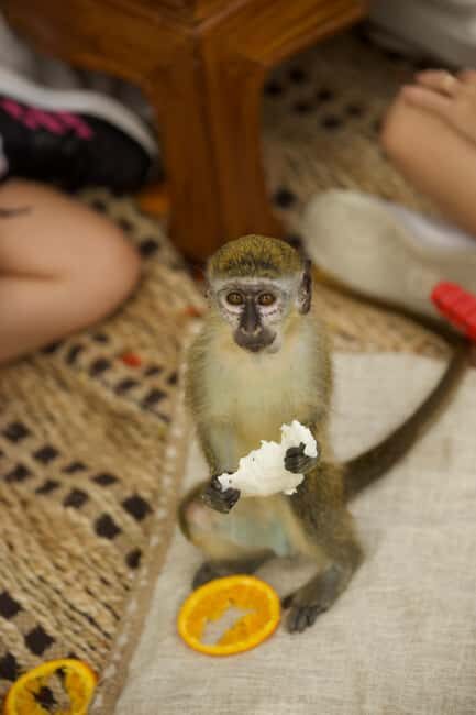Punta Cana: Interactive Experience at Monkey House - The Local Store Stop: Souvenirs With a Story