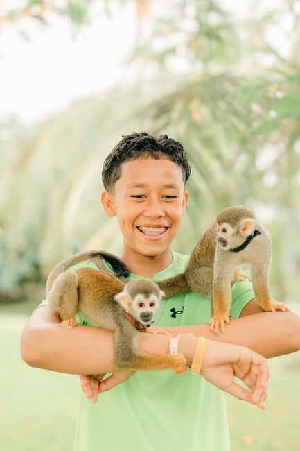 Punta Cana: Interactive Experience at Monkey House - What $99 Gets You (and What It Does Not)