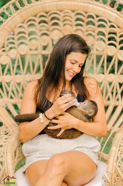 Punta Cana: Interactive Experience at Monkey House - Who Should Book This Tour (and Who Should Skip)