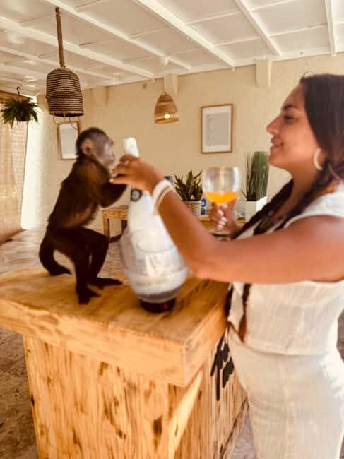 Punta Cana: Interactive Experience at Monkey House - Practical Tips for a Smooth Monkey Day