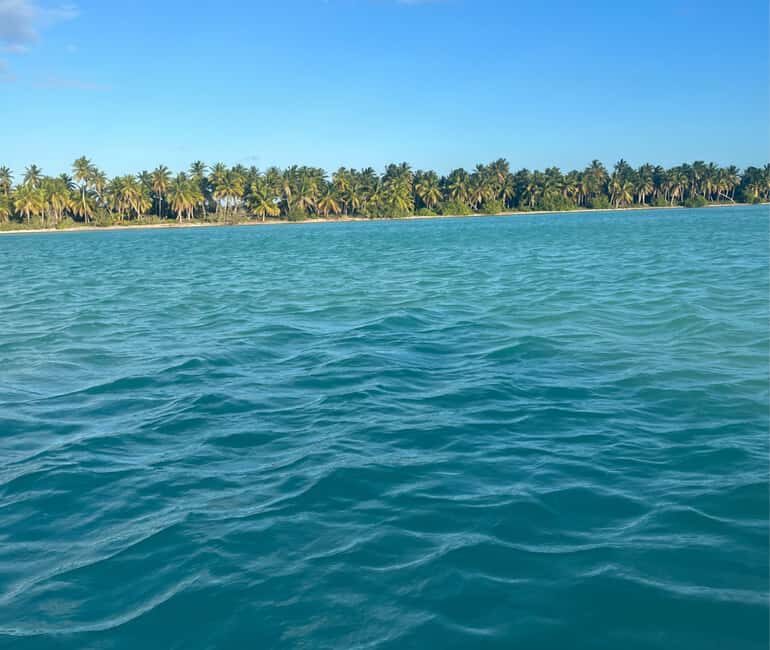 Punta cana: Island Escape to Saona • catamaran & Beach lunch - The Natural Pool Swim and Starfish Sandbar