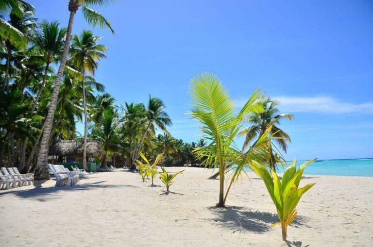 Punta cana: Island Escape to Saona • catamaran & Beach lunch - Price and What You Actually Get for $59