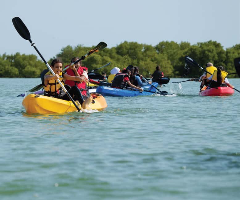 Punta Cana: Los Haitises Hike & Kayaking Mangroves - Key points to know before you go