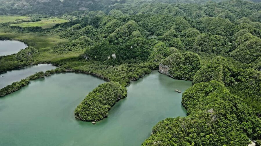 Punta Cana: Los Haitises Hike & Kayaking Mangroves - Mangrove Kayaking: Birds, Swamps, and San Lorenzo Bay Views