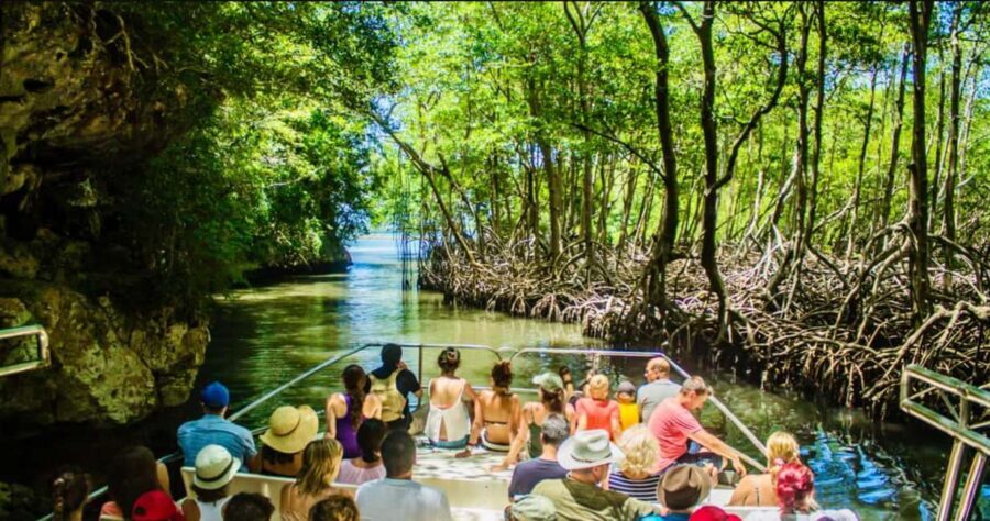 Punta Cana: Los Haitises National Park Full-Day Tour - Los Haitises National Park day: the real reason it’s worth leaving Punta Cana