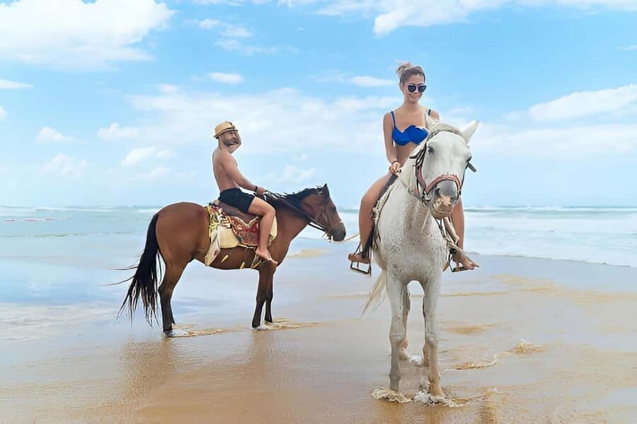 Punta Cana: Macao Beach & Forest Horseback Riding Tour - Key points at a glance