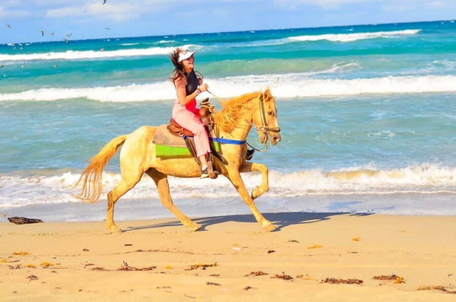 Punta Cana: Macao Beach & Forest Horseback Riding Tour - Who should book this Macao Beach forest horseback tour?