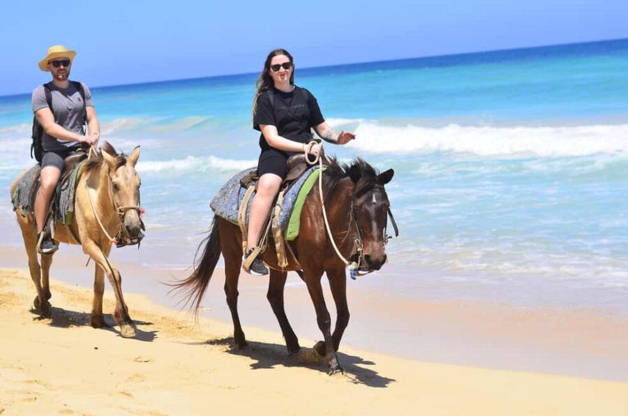 Punta Cana: Macao Beach & Forest Horseback Riding Tour - Macao Beach horseback riding with hotel pickup, not resort chaos