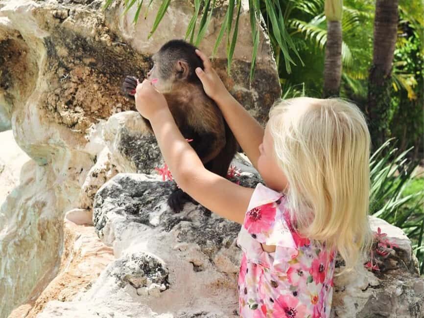 Punta Cana: Monkey Houses Private Tour - Parrots Park: Free-flying moments you can actually enjoy