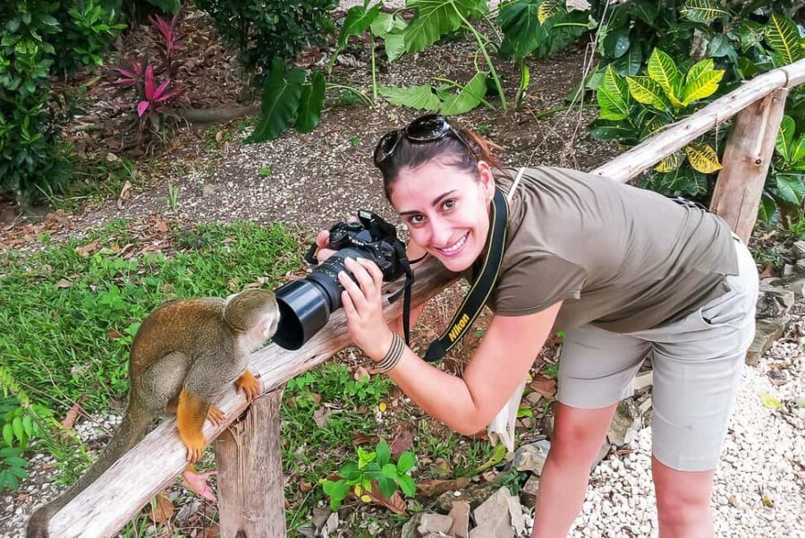 Punta Cana: Monkey Land Half-Day Safari and Plantation - How the Monkeyland Half-Day Works (5 Hours, Two Worlds)
