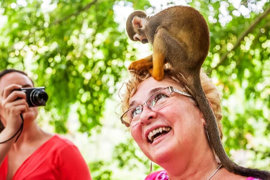 Punta Cana: Monkey Land Half-Day Safari and Plantation - Pickup Ride: Open Truck Wind and Local Storytelling