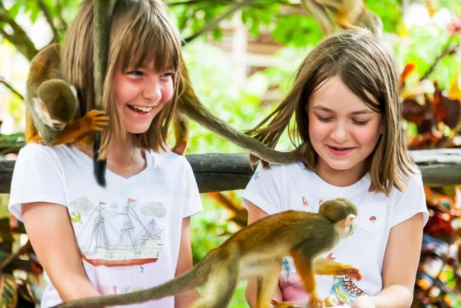 Punta Cana: Monkey Land Half-Day Safari and Plantation - Monkeyland: Your 45 Minutes With Squirrel Monkeys