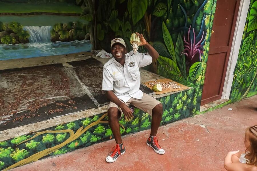 Punta Cana: Monkey Land Half-Day Safari and Plantation - Getting Great Photos Without Losing Your Mind