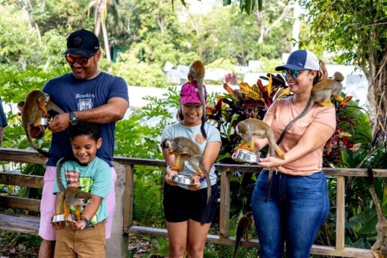 Punta Cana: Monkey Land Half-Day Safari and Plantation - The Casa del Coco: Coconut Oil, Local Fruits, and Coffee/Cacao Tastings