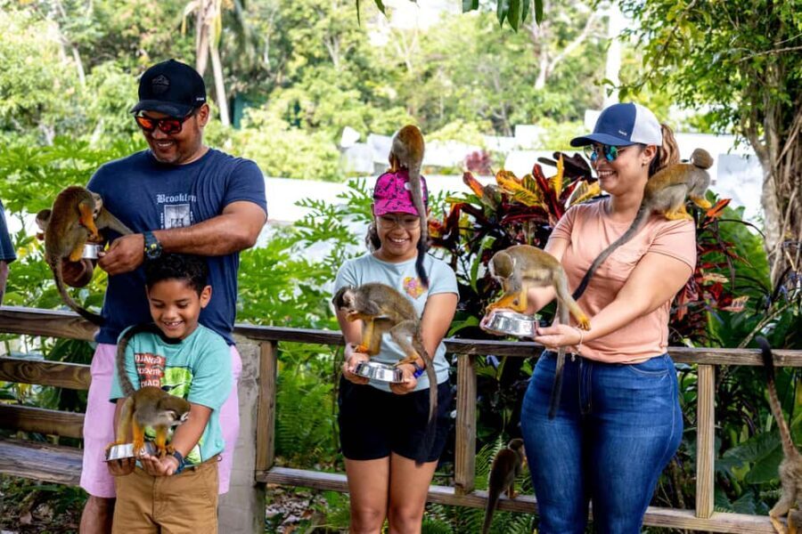 Punta Cana: Monkey Land Half-Day Safari and Plantation - The Casa del Coco: Coconut Oil, Local Fruits, and Coffee/Cacao Tastings