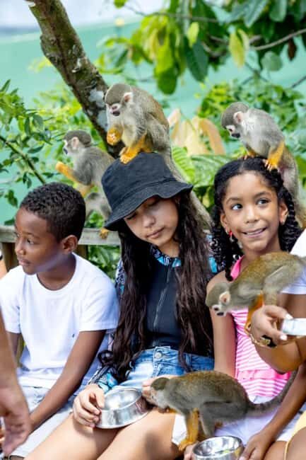 Punta Cana: Monkey Sanctuary Half-Day Tour - Punta Cana Meets the Dominican Interior in Four Hours