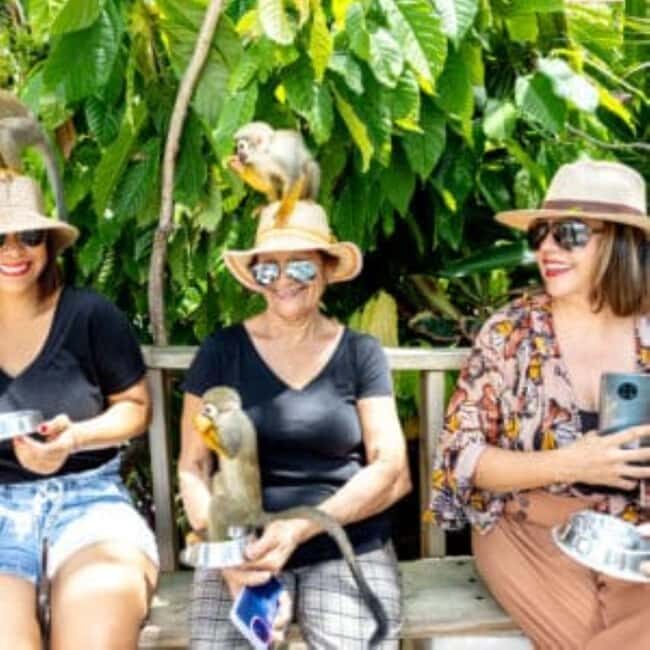 Punta Cana: Monkey Sanctuary Half-Day Tour - A Coconut House Stop (and Why It Beats Another Gift-Shop Stop)