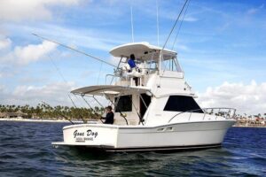 Punta Cana Offshore Deep Sea Fishing Charter - Offshore fishing: the big-game target list (and what it means)