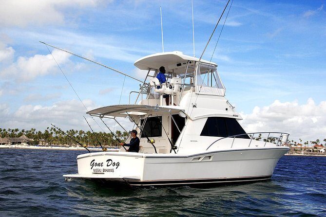 Punta Cana Offshore Deep Sea Fishing Charter - Offshore fishing: the big-game target list (and what it means)
