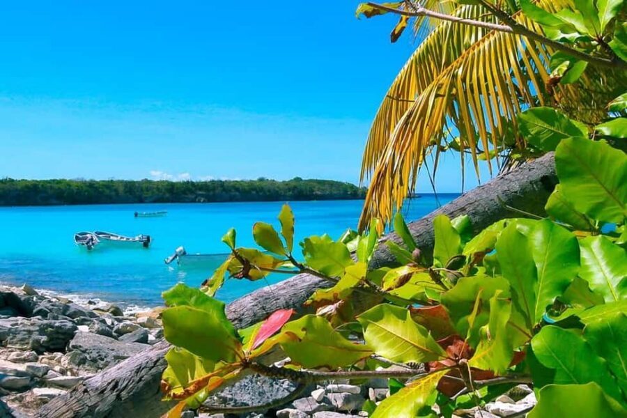 Punta Cana or La Romana: Catalina Island Tour and Snorkeling - Key highlights you’ll feel right away