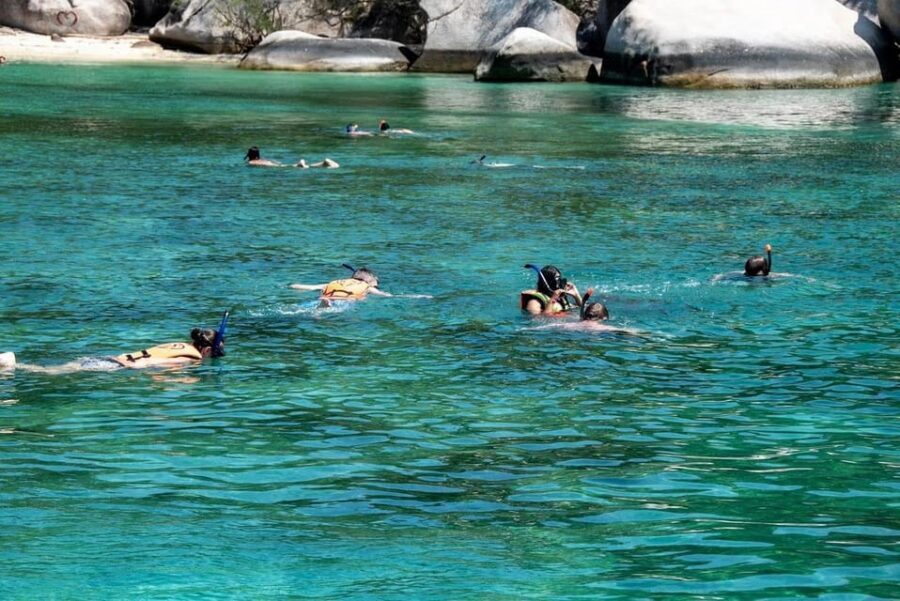 Punta Cana or La Romana: Catalina Island Tour and Snorkeling - Staff, language, and organization: what can make or break your day