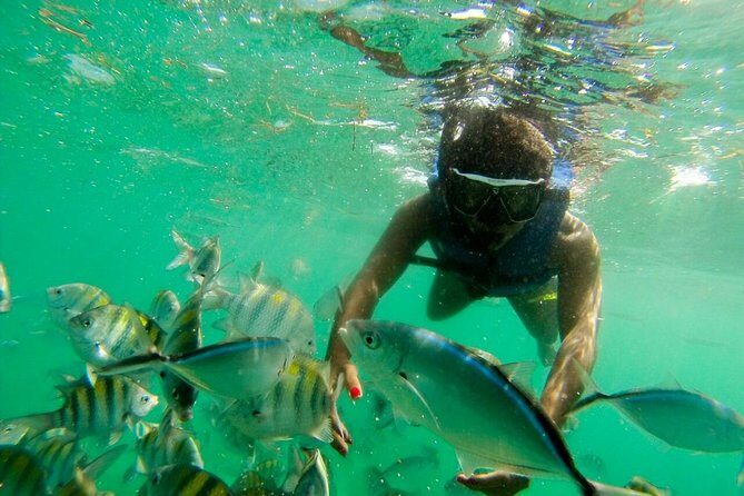 Punta Cana Party Boat Snorkeling with Music DJ and Open Bar - Why this party boat snorkel fits Punta Cana