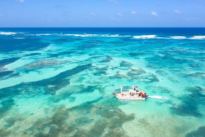 Punta Cana Private Catamaran Cruise: Snorkeling, Beach & BBQ - Getting to the Boat: Hotel Pickup and How the Timing Feels
