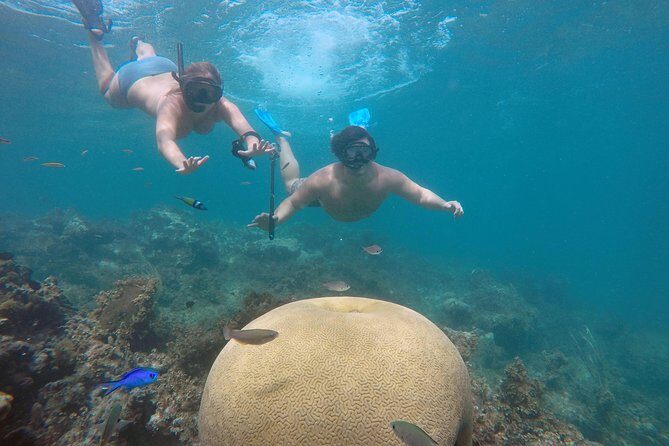 Punta Cana Private Cruise Up To 10 Snorkeling & Seafood lunch - Key things that make this cruise stand out