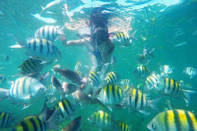 Punta Cana Private Cruise Up To 10 Snorkeling & Seafood lunch - A private Punta Cana catamaran day that feels custom