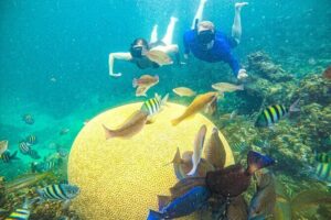 Punta Cana Private Cruise Up To 10 Snorkeling & Seafood lunch - Heads-up on the sea: safety and comfort with a real guide crew