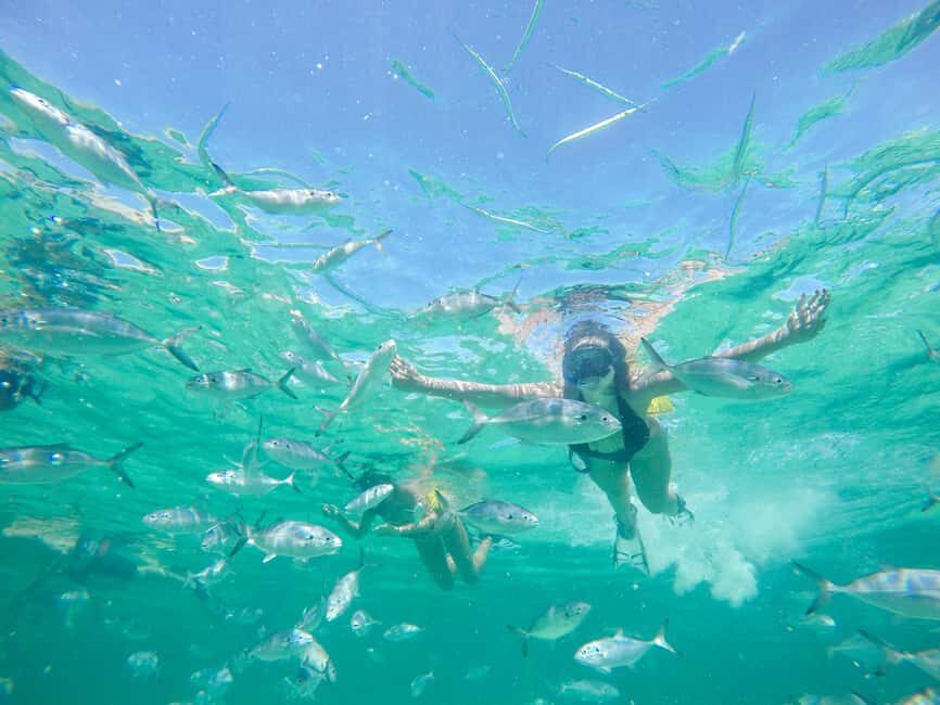 Punta Cana: Reef Explorer Access w/ Sharks & Stingrays Swim - The price and value: is $149 worth it for this mix?