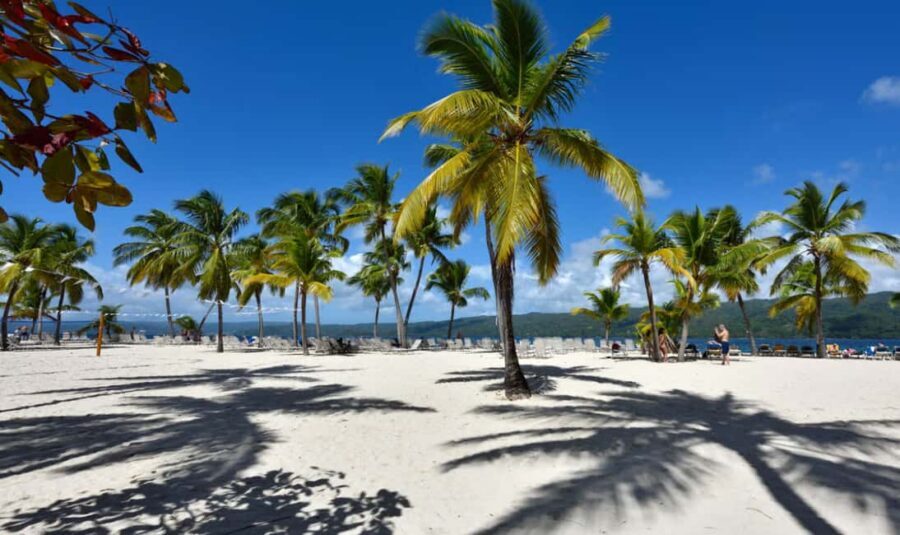 Punta Cana: Samaná Cayo Levantado & El Limón Waterfall Tour - Getting back to Punta Cana: timing, drop-offs, and how to plan your evening
