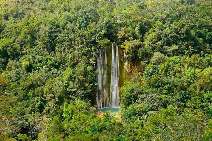 Punta Cana: Samaná Whale Watching, Bacardi & Limon Falls - Key points to know before you go