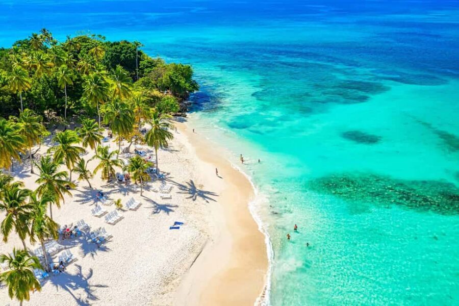 Punta Cana: Samaná Whale Watching, Bacardi & Limon Falls - Morning Pickup and the Real-World Timing From Punta Cana