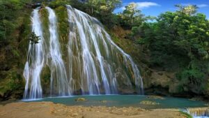Punta Cana: Samaná Whale Watching, Bacardi & Limon Falls - La Cañita, the Boat Out, and Seasonal Humpback Whales