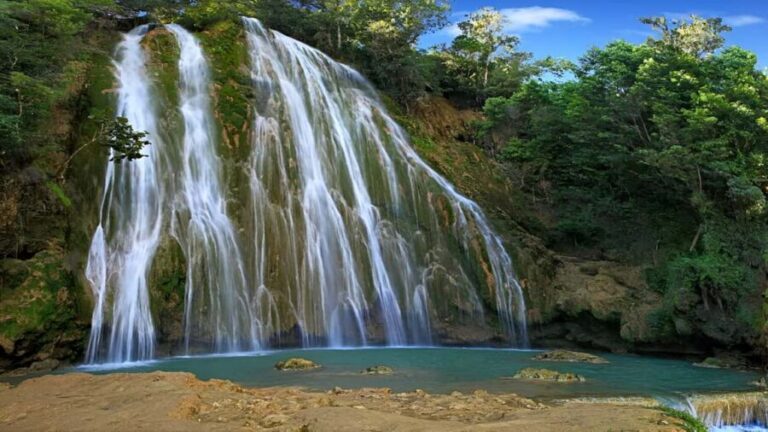 Punta Cana: Samaná Whale Watching, Bacardi & Limon Falls - La Cañita, the Boat Out, and Seasonal Humpback Whales