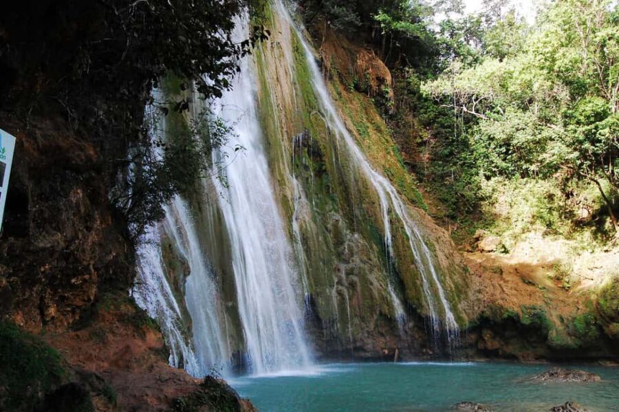 Punta Cana: Samaná Whale Watching, Bacardi & Limon Falls - Who This Tour Suits Best