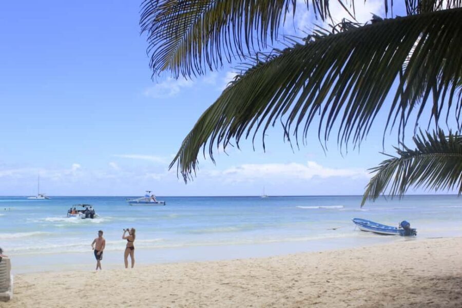Punta Cana: Saona Island and Altos de Chavón Day Trip - Value check: is $92 a fair deal for this full-day mix?