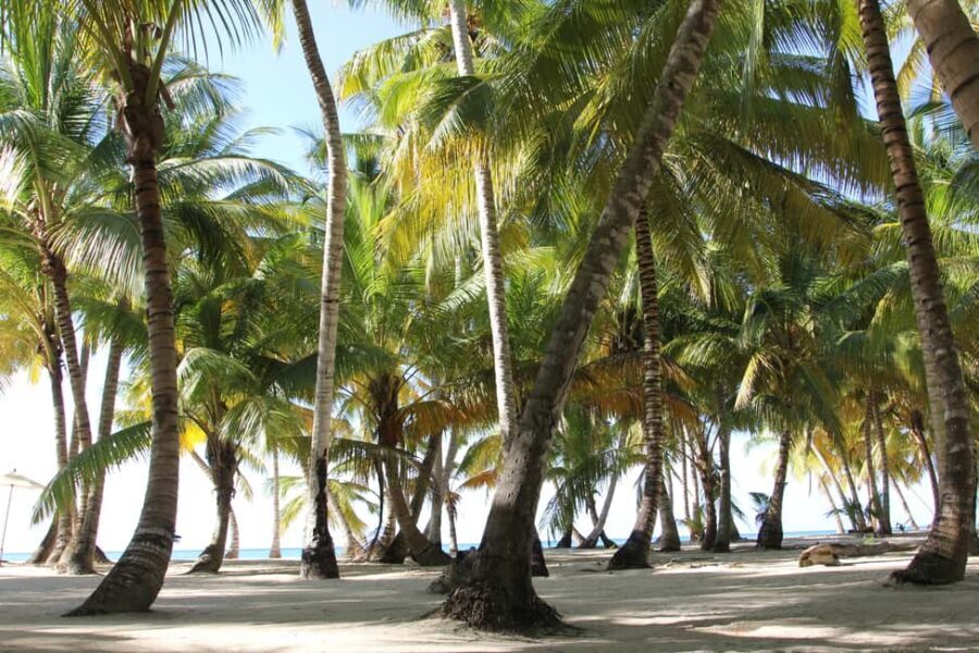 Punta Cana: Saona Island and Altos de Chavón Day Trip - The natural swimming pool stop: wade, float, and look for sea life
