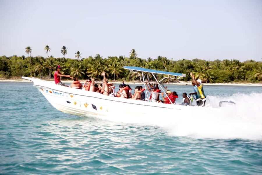 Punta Cana: Saona Island and Altos de Chavón Day Trip - What to pack (and what to skip) for a smooth Saona day