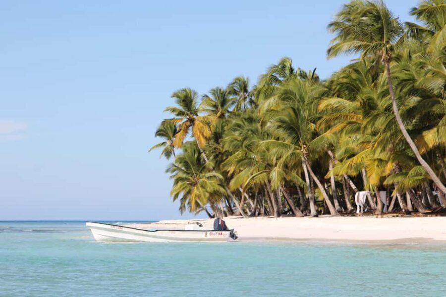 Punta Cana: Saona Island and Altos de Chavón Day Trip - Getting from pickup to the coast without losing your mind