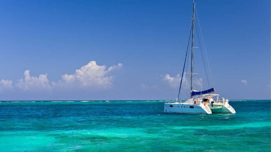 Punta Cana: Saona Island Catamaran Tour with Food & Open Bar - Isla Saona beach time: how to make the most of your hours